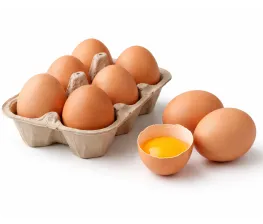 ŒUFS